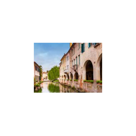 Treviso 