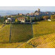 Panorami autunnali Tra vigneti e Castelli nelle Langhe