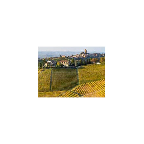 Panorami autunnali Tra vigneti e Castelli nelle Langhe
