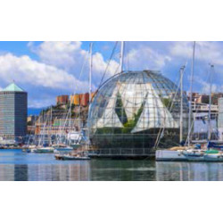 GENOVA,  Palazzo Lomellino e l'Acquario