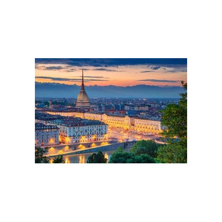 TORINO e LA REGGIA DI VENARIA