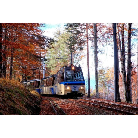 LOCARNO E IL TRENINO CENTOVALLI - Domenica 15 Novembre 2026